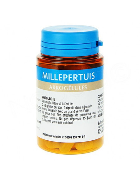 Arkogélules Millepertuis 45 gélules Arkogelules - 2