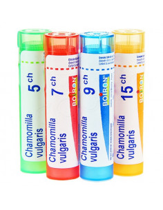 Chamomilla Vulgaris tube Granules Boiron 4g