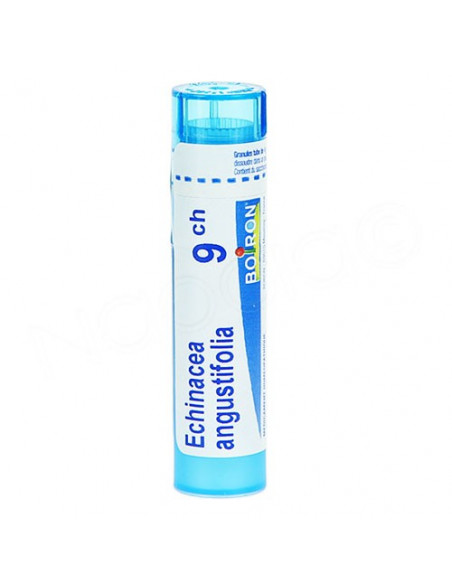 Echinacea Angustifolia tube granules Boiron 4g Boiron - 2