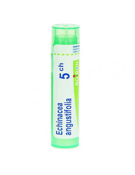 Echinacea Angustifolia tube granules Boiron 4g Boiron - 4