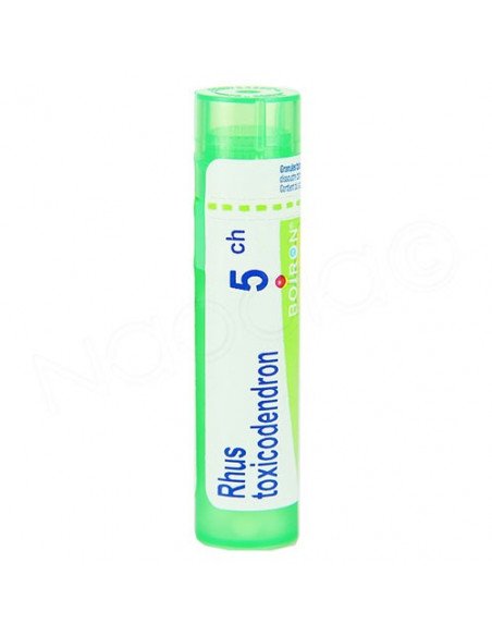 Rhus Toxicodendron Tube Granules Boiron 4g Boiron - 2