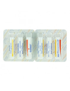 Oscillococcinum Etats grippaux 2