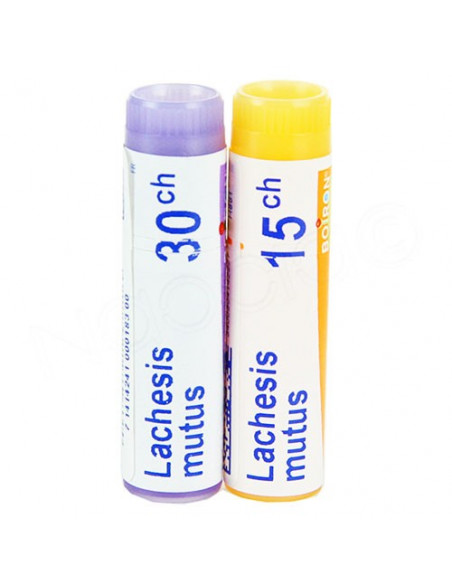 Lachesis Mutus Tube Dose Globules Boiron. 1g