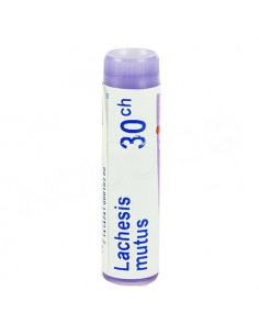 Lachesis Mutus Tube Dose Globules Boiron. 1g 2