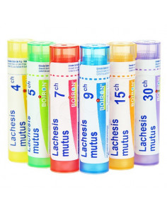 Lachesis Mutus Tube Granules Boiron. 4G