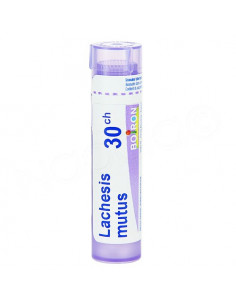 Lachesis Mutus Tube Granules Boiron. 4G 2