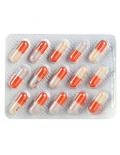 Piascledine 300 Arthrose 2