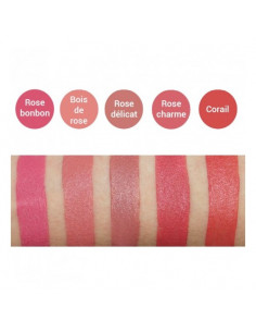 Avril Crayon Rouge à Lèvres Bio. 2g 2