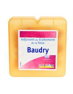 Boiron Baudry Pâte à sucer. Pot 70g