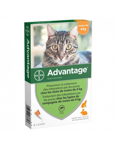 Advantage chat et lapin - 4kg 6 Pipettes 04ml Bayer - 1