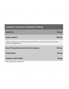 NHCO Uricare Confort du Système Urinaire 84 Gélules NHCO - 1 2