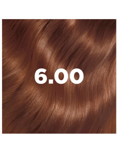 boite de coloration permanente lazartigue la couleur absolue bond foncé 6.00 2