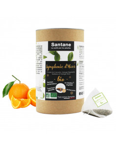 Santane tisane infusion bio hiver cannelle boite brune noir orange