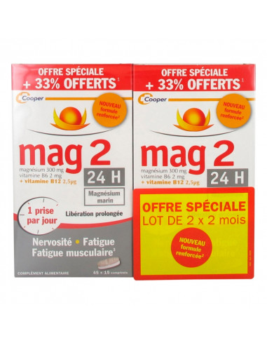 Mag2 24h Libération Prolongée Lot 2 x 2 mois nouvelle formule renforcée