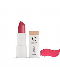 Couleur Caramel Rouge à Lèvres Mat Bio rechargeable Rouge Brique n°121. 3,5g