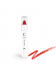 Couleur Caramel Soin Lèvres Twist and Lips Rouge Mat n°405. 3g