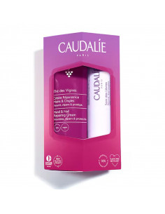 Caudalie Duo Gourmand Thé des Vignes Crème Mains 75ml + Stick Lèvres 4,5g boite carton violet rose