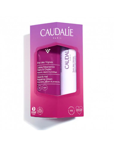 Caudalie Duo Gourmand Thé des Vignes Crème Mains 75ml + Stick Lèvres 4,5g boite carton violet rose