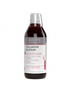BIOCYTE Collagène au Silicium Solution buvable 500ml
