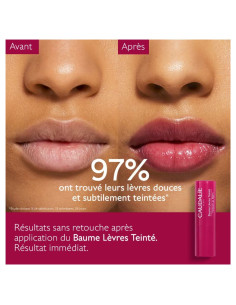 Caudalie Baume Lèvres teinté 4,5g 2