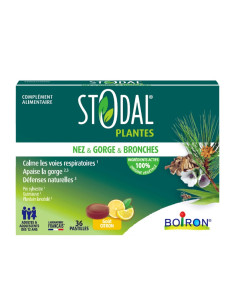 boite verte avec des plantes dessiné dessus