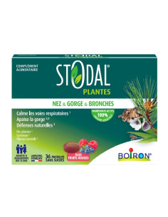 boite rectangle verte foncé avec des plantes dessinés