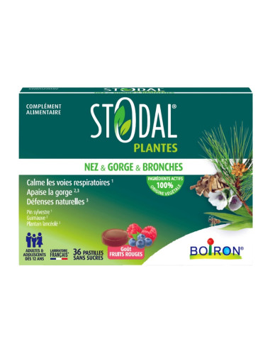 boite rectangle verte foncé avec des plantes dessinés