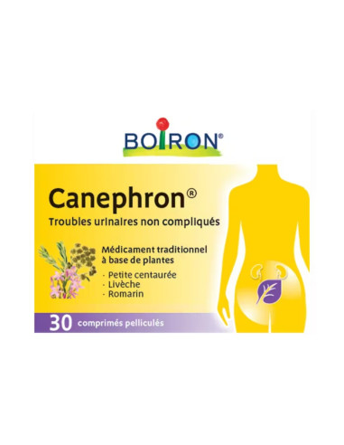 BOITE RECTANGULAIRE BLANCHE ET JAUNE AVEC UN CORPS JAUNE Dessiné ET DES PLANTES