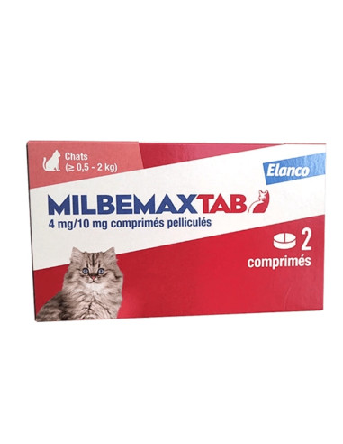 boit allongé rouge et blanche avec chaton sur le boite