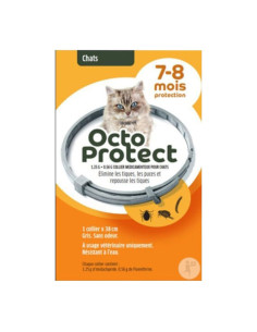 boite orange et blanche avec un chat et un  collier dessus