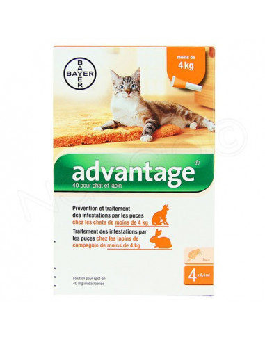 Advantage 40 Chat & Lapin -4Kg. pipettes 4x04ml