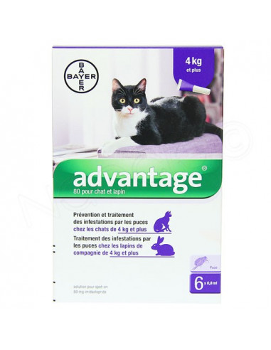 Advantage 80 Solution Spot-On Chat & Lapin 4kg+. 6x08ml