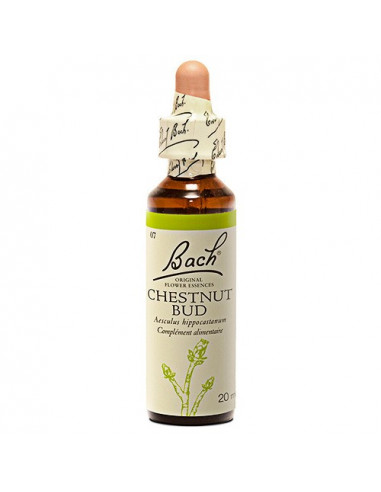 Fleurs de Bach n°07 Chestnut Bud - Bourgeons de Marronnier Blanc 20ml  - 1