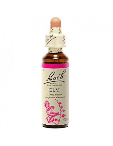 Fleurs de Bach n°11 Elm - Orme 20ml  - 1