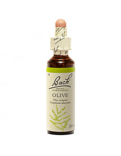 Fleurs de Bach n°23 Olive - Olivier 20ml  - 1