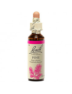 Fleurs de Bach n°24 Pine - Pin Sylvestre 20ml  - 1