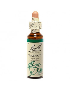 Fleurs de Bach n°33 Walnut - Noyer 20ml  - 1