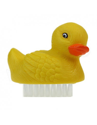 Vitry Brosse à ongles animaux - Acl 0856942