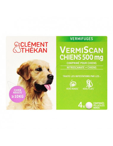 VermiScan Chiens 500 mg Vermifuge