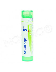 Allium Cepa Tube Granules Boiron. 4g 5CH vert