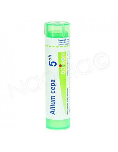 Allium Cepa Tube Granules Boiron. 4g 5CH vert