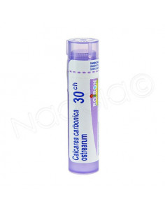 Calcarea Carbonica Ostrearum Tube Granules Boiron. 4g 30CH violet