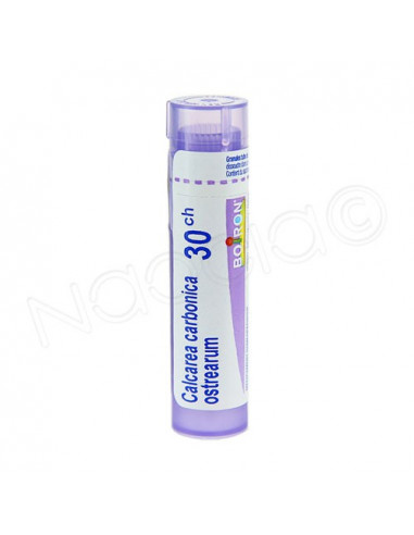 Calcarea Carbonica Ostrearum Tube Granules Boiron. 4g 30CH violet