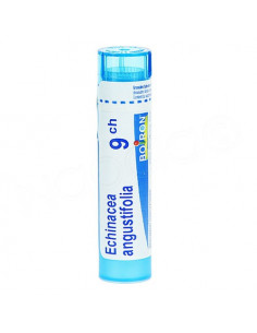 Echinacea Angustifolia tube granules Boiron. 4g 9CH bleu