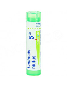 Lachesis Mutus Tube Granules Boiron. 4G 5CH vert