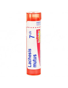 Lachesis Mutus Tube Granules Boiron. 4G 7CH rouge