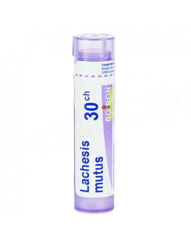 Lachesis Mutus Tube Granules Boiron. 4G 30CH violet