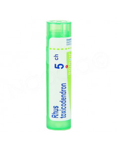 Rhus Toxicodendron Tube Granules Boiron. 4g 5CH vert